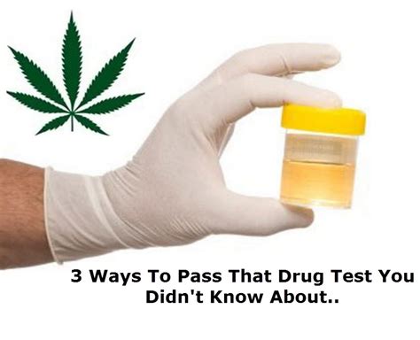 dropping a drug test|thc before drug test.